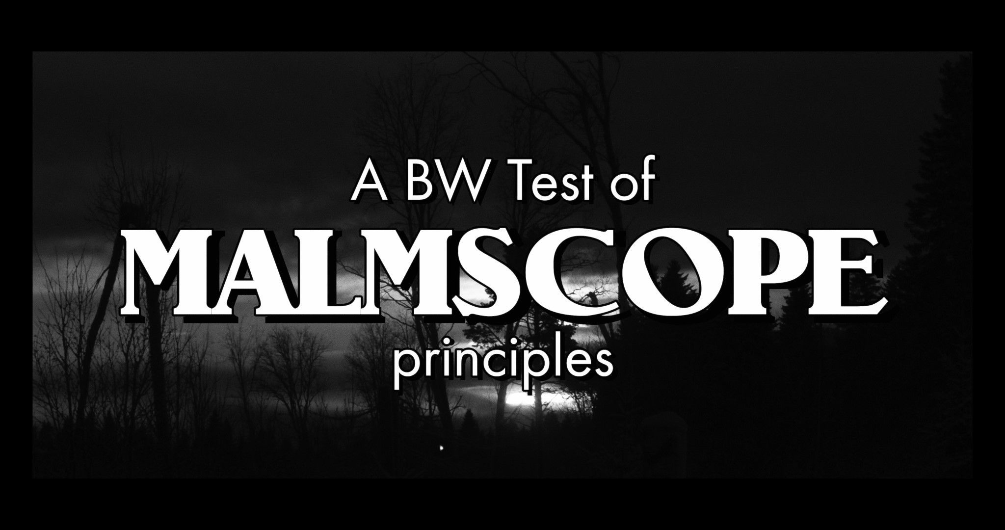 240128 – A BW Test of MalmScope Principles