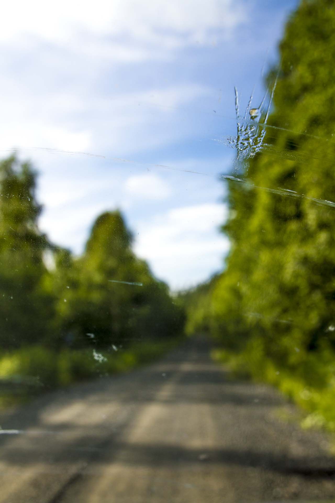 IMG_2785